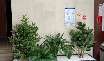 Un nouvel aménagement de plantes artificielles pour un hall d'immeuble dans le quartier de Laënnec, 69008