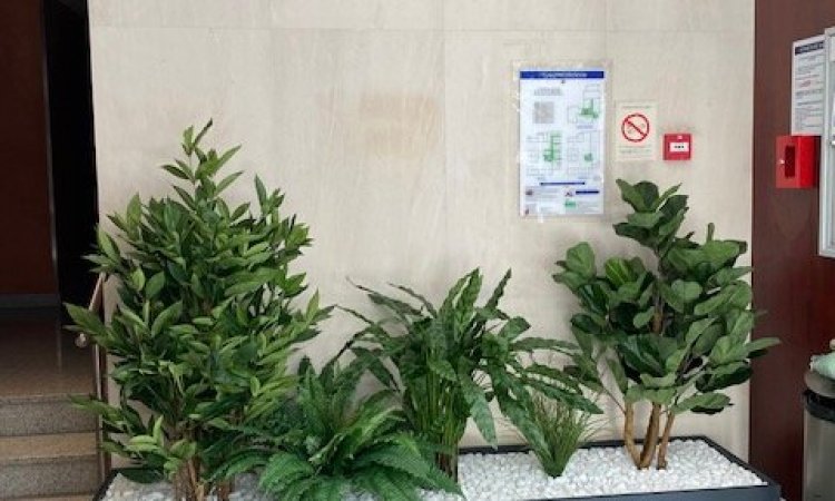 Un nouvel aménagement de plantes artificielles pour un hall d'immeuble dans le quartier de Laënnec, 69008