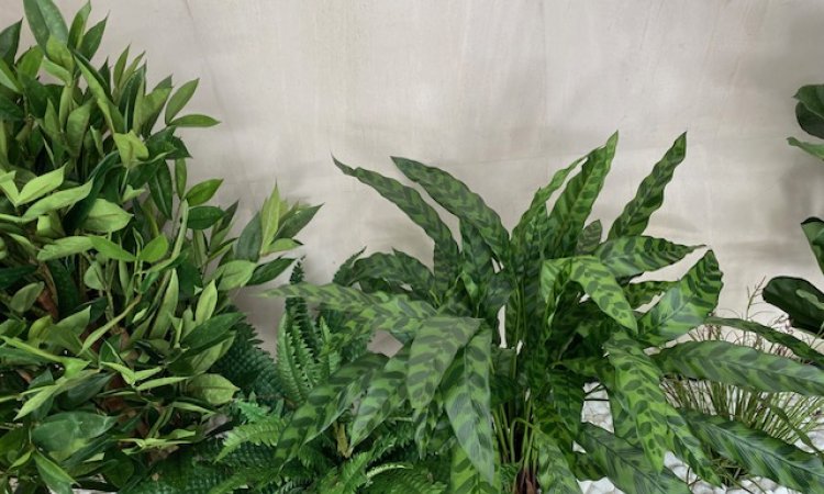 Un nouvel aménagement de plantes artificielles pour un hall d'immeuble dans le quartier de Laënnec, 69008