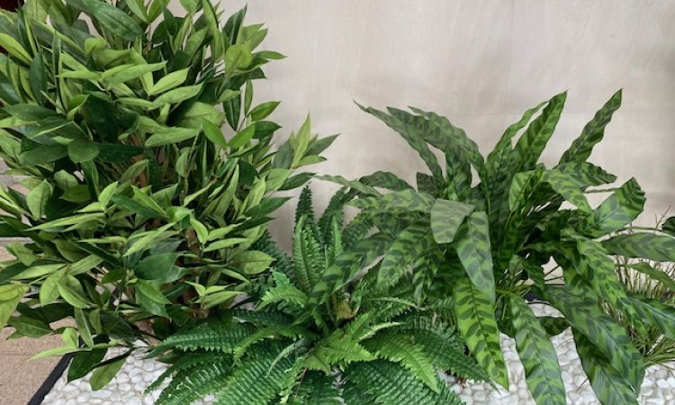 Un nouvel aménagement de plantes artificielles pour un hall d'immeuble dans le quartier de Laënnec, 69008